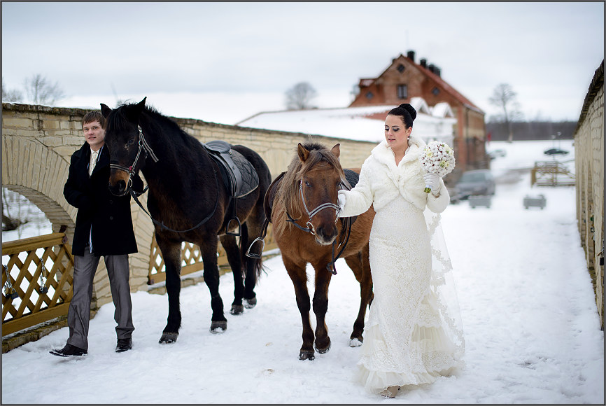 Žirgai vestuvėse
